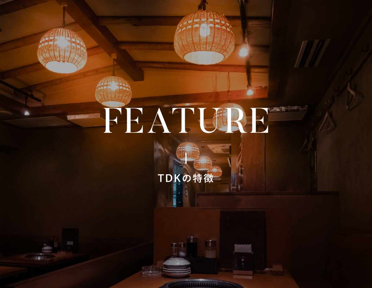 FEATURE TDKの特徴